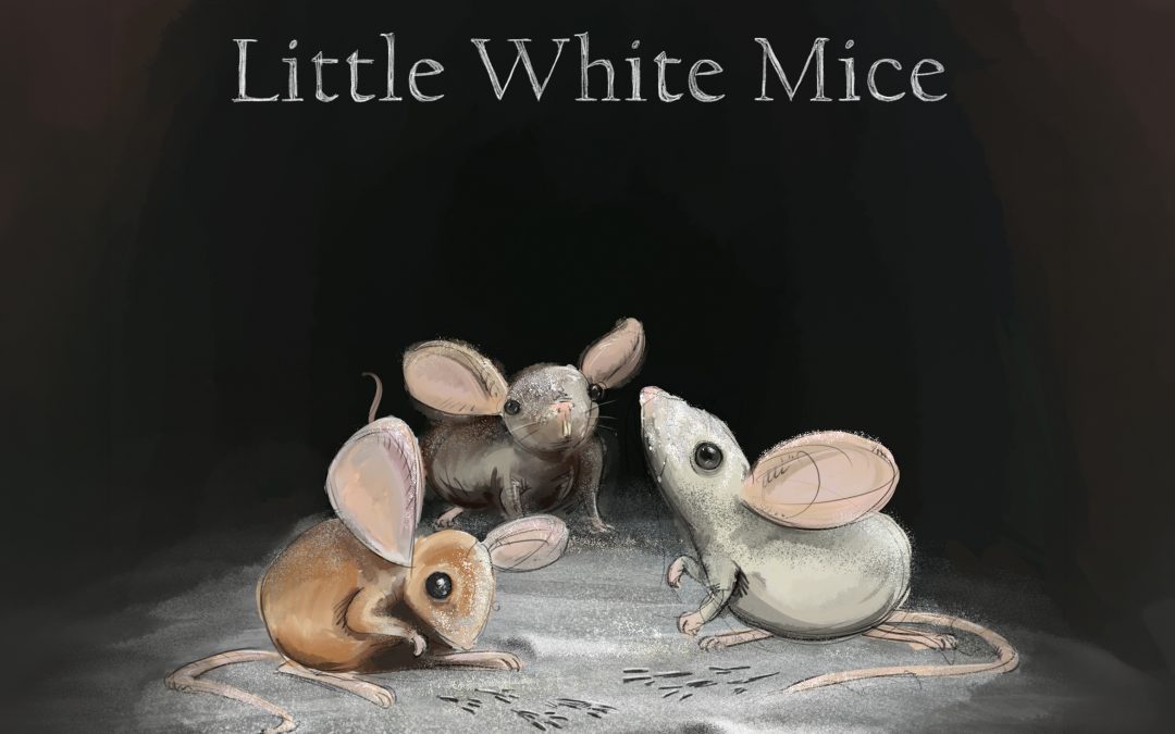 Little White Mice